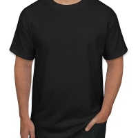 Hanes Authentic T-shirt